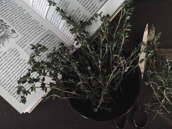 A book open to an article about thyme with sprigs of thyme