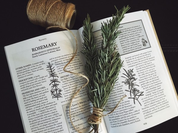 a book and sprig of herb showing the uses and benefits of rosemary