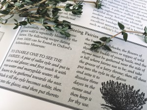 A book with thyme leaves