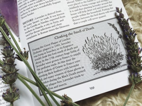 a page of a book with the title "Cloaking the Smell of Death" (with lavender