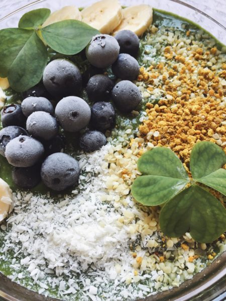 blueberries,coconut, bee pollen, hemp seeds, bananas and clover. ingredients in a anti-inflammatory smoothie.