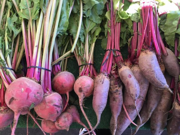 Purple beets and radishes with leaves